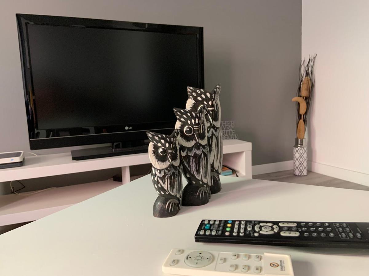 Coliving El Toro Hotel Las Palmas de Gran Canaria Luaran gambar